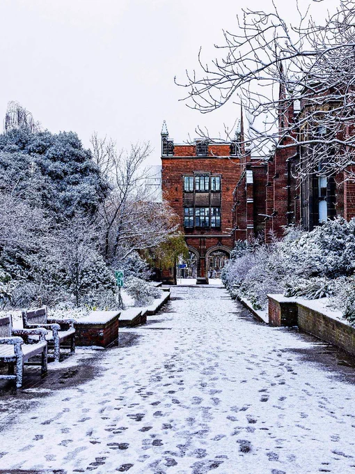Snow-covered courtyard at Newcastle University with footsteps leading towards a gothic brick building, flanked by benches and frosty trees.